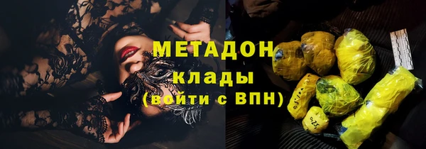 соль ск Дмитриев