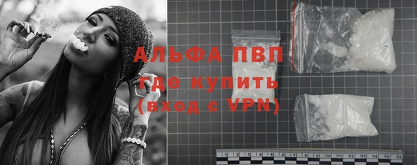 прущие грибы Елизово