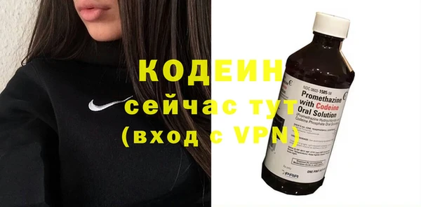 соль ск Дмитриев