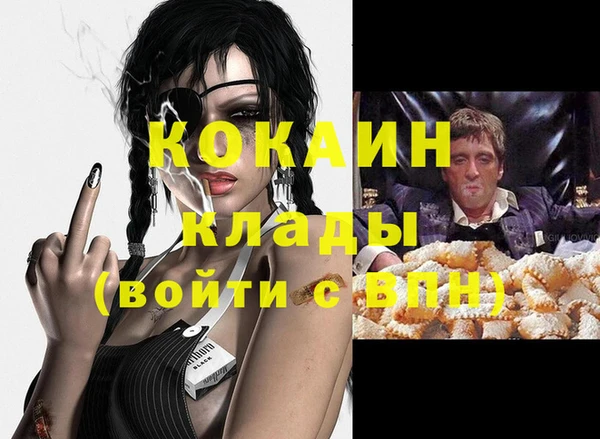 соль ск Дмитриев