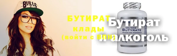 соль ск Дмитриев