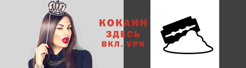 соль ск Дмитриев