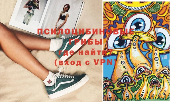 скорость Ельня