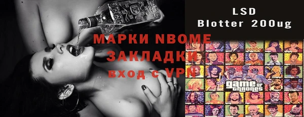 прущие грибы Елизово