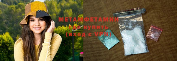 соль ск Дмитриев