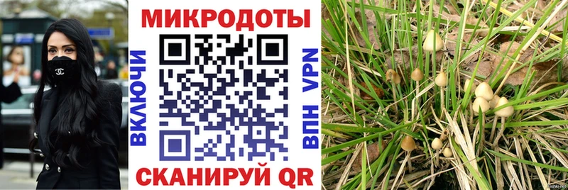 Галлюциногенные грибы ЛСД  kraken как зайти  Щёлково  где продают наркотики 